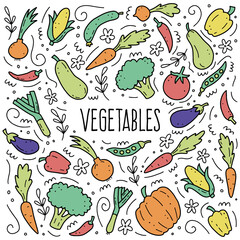 Hand drawn set of vegetable elements, carrot, salad, tomato, onion, lettuce, chili. Comic doodle sketch style. Vegetables element drawn by digital brush-pen. Vector illustration for icon, menu, frame