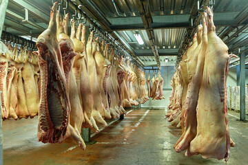 Red meat or animal products at the slaughterhouse.