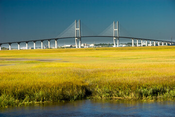 Sidney Lanier Bridge. The Sidney Lanier Bridge is a cable-stayed bridge that spans the Brunswick River in Brunswick, Georgia, carrying four lanes of traffic to Jekyll Island. - obrazy, fototapety, plakaty