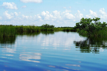 Everglades Pond