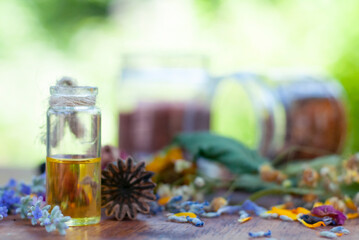 fresh and dry ingredients for herbal medicine with essential oil and glass bottles on the wood table