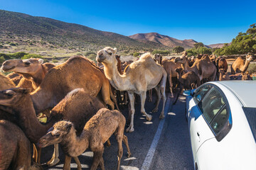 Morocco main attractions