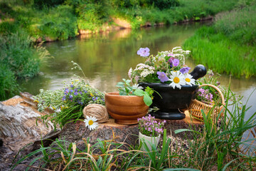 Mortar of medicinal herbs, wooden bowl and basket of healing plants, bunch of medicinal herbs on a wooden stump on bank of beautiful forest river outdoors.