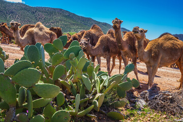 Morocco main attractions