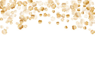 Gold seashells vector, golden pearl bivalved mollusks.