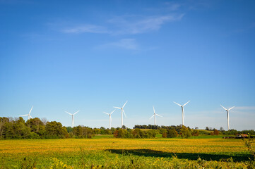 Wind turbines in the field with blue sky