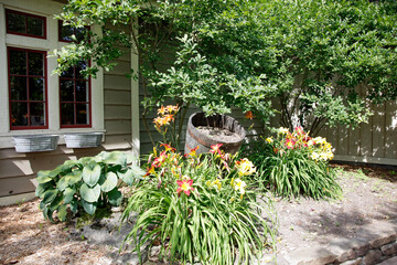 garden with flowers