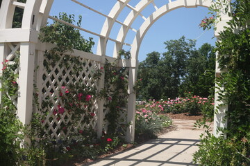 entrance to the garden, BLOOMING FLOWERS