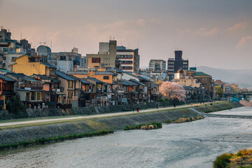 Gion Pontocho old restaurants, Japanese traditional houses with Kamo river in Kyoto, Japan