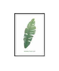 Frame with white background palm leaf picture. tropical leaves fram vector design.