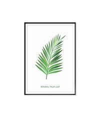 Frame with white background palm leaf picture. tropical leaves fram vector design.
