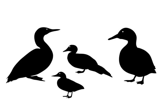 Black silhouette of a duck on white background. Vector Illustration