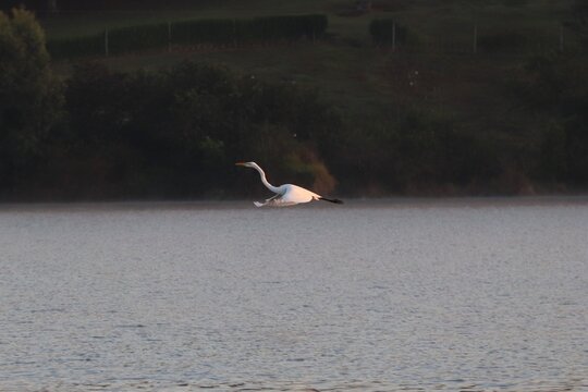 brasil paranoa lake