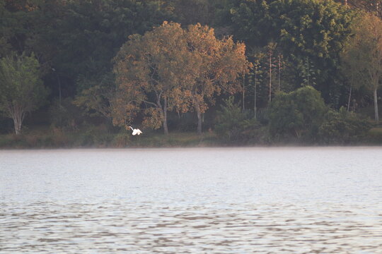 brasil paranoa lake