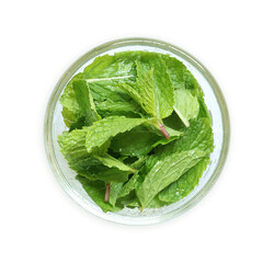 Fresh mint leaves in clear glass bowl isolated on white background. Clipping path.