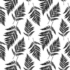 Fern leaf seamless pattern background. Vector Illustration