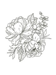 Double Peony and Magnolia Line Drawing, Hand Drawn, 2 Blooms with Leaves, Flower Petals, Black and White Shading