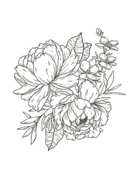 recommend clip art: Double Peony and Magnolia Line Drawing, Hand Drawn, 2 Blooms with Leaves, Flower Petals, Black and White Shading