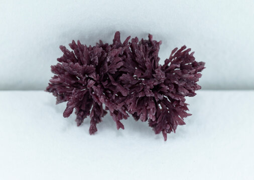 Crystals cream of tartar on a white background. Potassium tartrate, dipotassium tartrate or argol. Wine-making. Technology of wine production.