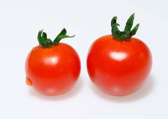 ミニトマト　白背景