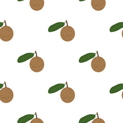 Mammea. Seamless Vector Patterns 