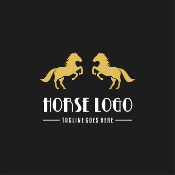Two Standing horse logo designs, good for mascot