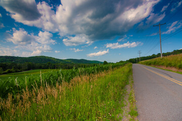 campos de maiz al costado de la carretera