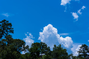 Obraz premium Beautiful and curious clouds background blue sky at Florida.