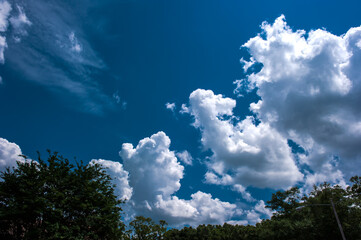 Obraz premium Beautiful and curious clouds background blue sky at Florida.