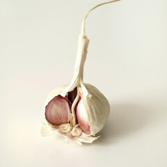 High angle close up of a peeled garlic
