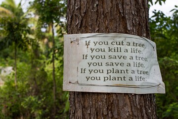 environmental conservation sign on a tree in the forest 