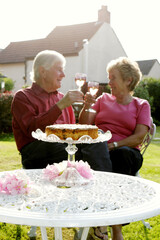 A loving couple proposing their anniversary toast at the garden