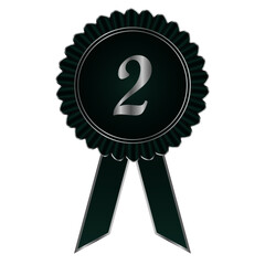 silver medal with ribbon