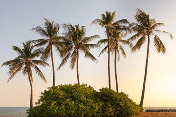 Palm trees on a small hill. It looks like a desert island in the middle of the ocean. Tropical paradise at sunset time. Dundee Beach, holiday destination near Darwin, Northern Territory NT, Australia