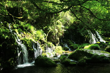 Obraz premium 秋田 初夏の鳥海山 苔むす元滝伏流水の清流