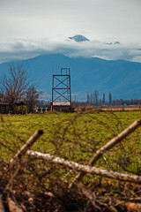Obraz premium Gran montaña de fondo en paisaje de campo chileno