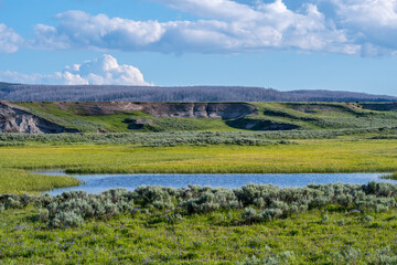 Fototapeta na wymiar A beautiful overlooking view of nature in Yellowstone National Park, Wyoming