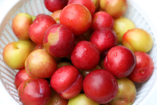 Washed plums in the basket