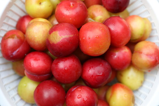 Washed plums in the basket