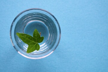葉　アイビー　水　癒し　屋内　ブルー