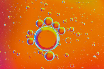 Air bubbles on the water surface