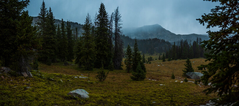 mountain forest with approaching storm in the Beartooth wilderness