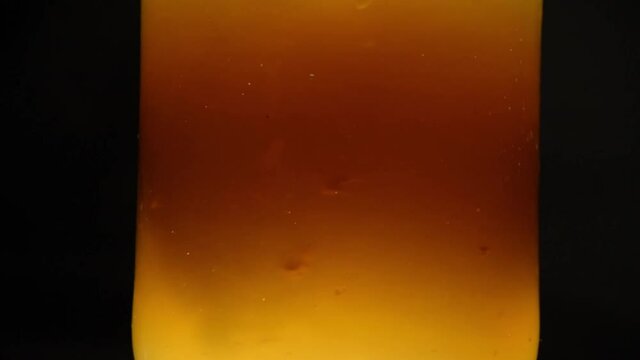 Kombucha scoby light in a jar dark backround