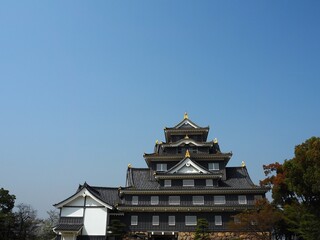青空に映える岡山城（烏城）