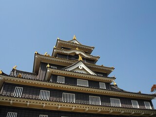 Obraz premium 青空に映える岡山城（烏城）