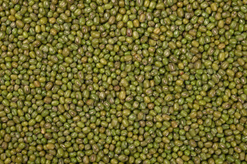 Mung beans or green beans background.