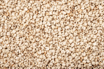 Top view Job's tears(Adlay millet) texture background.