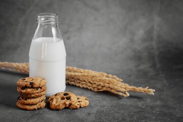 Baked chocolate cookies and Milk Bottles on the loft background.