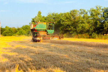 combine harvester in field