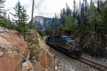 Train coming up in the mountains with pine trees around cloudy day